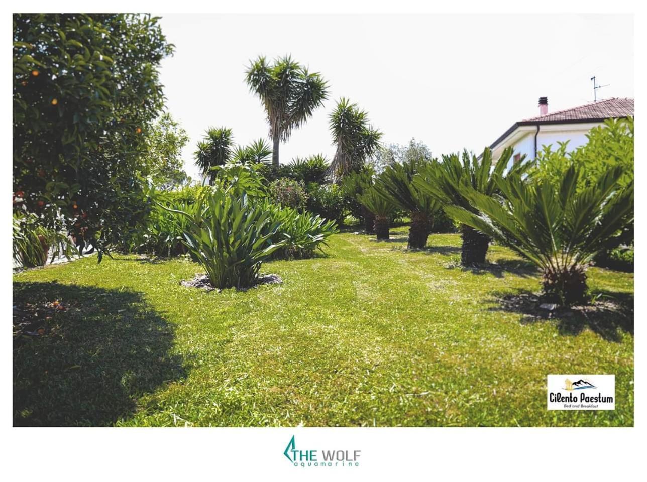 B&B Cilento Paestum Exterior photo