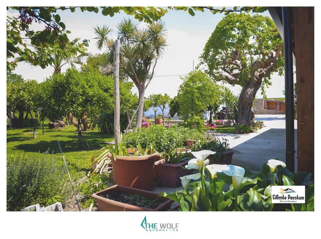 B&B Cilento Paestum Exterior photo
